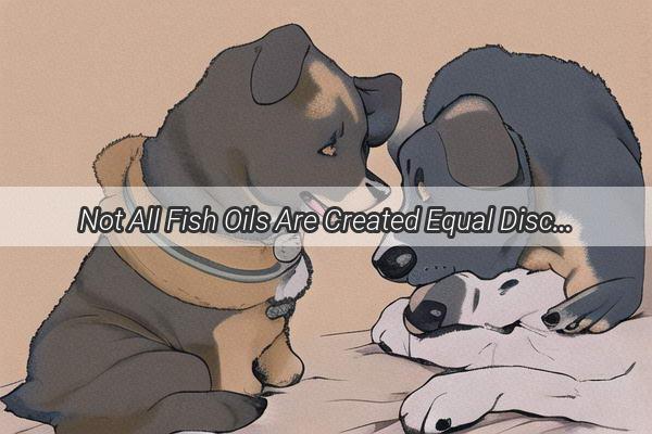 Not All Fish Oils Are Created Equal Discover the Best Ones for Your Pups Health